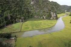 Ninh Bình tour among world’s best experiences: TripAdvisor