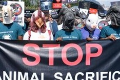 Nepal activists call for end of animal sacrifice