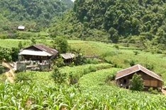 Cao Bang disabled man needs help to build a new house