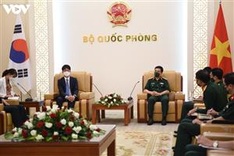 Vietnam, RoK strengthen defence cooperation