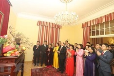 Vietnamese across the world celebrate traditional Lunar New Year