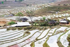 Stunning rice terraced fields in Lai Chau