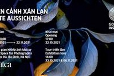 What's on November 1-7 (Daily updated)