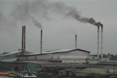 Binh Dinh firm fined for violating environmental regulations