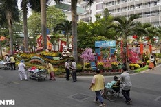 Tet atmosphere at HCM City hospital