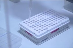 Additional 102 more Covid-19 infections recorded in Tuesday noon report
