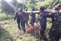 Five American War bombs disarmed in Quang Ngai