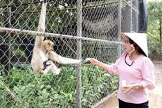 U Minh Thuong National Park to leverage ecotourism to lure new tourist dollars