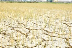 Severe drought continues hitting central region