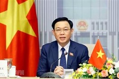 Top Vietnamese, Singaporean legislators hold online talks
