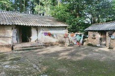 Poor woman in Quang Nam calls for help