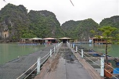 Quảng Ninh makes effort to preserve old fishing villages in Hạ Long Bay