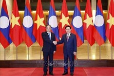 Vietnam always gives top priority to special ties with Laos: NA leader