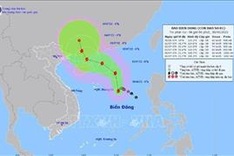 North East Sea tropical depression strengthens into storm