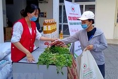 Vietnam Red Cross calls for donations to people affected by COVID-19