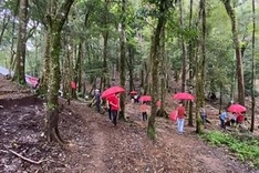 Kon Tum plans to hold Ngoc Linh Ginseng Festival