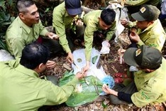 Unique forest task force team