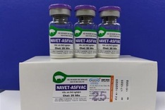 Vietnam successfully produces vaccine against African swine fever