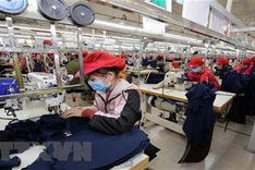 Online trade promotion helps businesses adapt to COVID-19