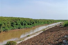 ADB supports sustainable forestry and biodiversity