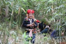 Exhibition features Dao ethnic culture