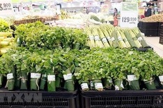 Ninh Binh says no to plastic bags