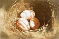 Int’l watercolour painting exhibition opens in HCM City