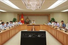 Carbon market to create motivation for green transition: Deputy PM