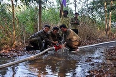 Mekong Delta region brace for wildfires