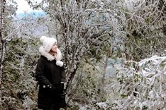 Severe cold to hit northern Vietnam this week, temperatures to fall sharply