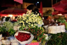 HCM City flower market to be reopened despite social distancing