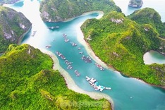 Ha Long fishing village renovation under way