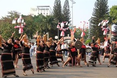 8th Buon Ma Thuot Coffee Festival to be held next year