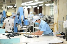 Vietnam’s GDP growth estimated at 2.91 pct this year