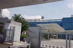HCM City woman throws baby off building