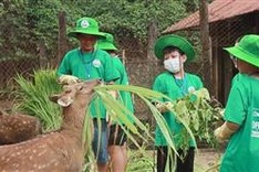 Cuc Phuong National Park helps spread love for nature to young generation