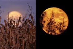 Harvest Supermoon to be observed in Vietnam