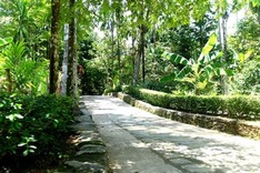 Quang Nam seeking ways to develop village tourism