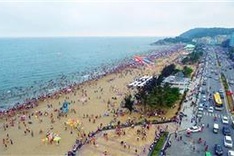 Coastal road to be built in Thanh Hóa Province