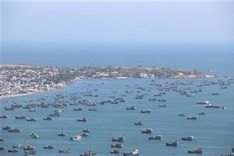 Visit Vietnam Year 2023 promotes green tourism