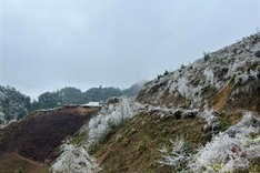 Tours to Cao Bang’s highest mountain planned