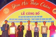 Thua Thien-Hue: Ancient Cham tower announced as world record