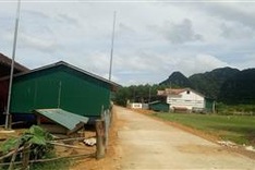 Quang Nam woman needs support for ill husband and son