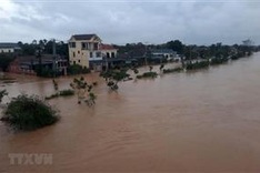 Micronesia provides 100,000 USD in aid to Vietnamese flood victims