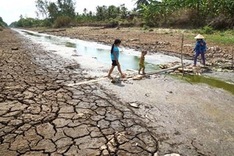 Ministry to allocate VND4bn to fight drought in the Mekong Delta