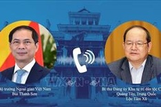 Vietnam treasures comprehensive strategic partnership with China