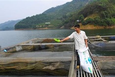 Ha Giang fish farming improve livelihoods