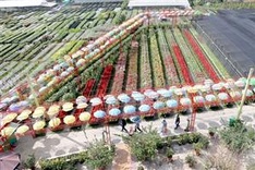 Mekong Delta provinces to focus on community-based tourism in 2023