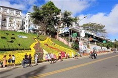 Đà Lạt prepares for flower festival