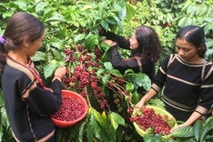 MoIT working to reduce greenhouse gas emissions